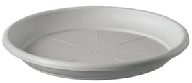 Farnese Soucoupe Farnese Soucoupe 657051500000 Couleur Gris clair Taille ø: 22.0 cm x H: 3.0 cm Photo no. 1