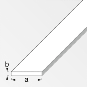 Plat