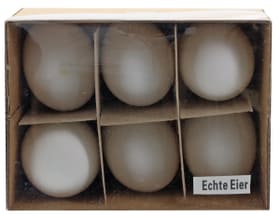 Véritables œufs de poule Œufs de Pâques Geroma 656252700000 Photo no. 1