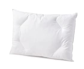 DIVERSO medium Cuscino piatto con piumette di qualità e protezione antiacari DIVERSO medium Cuscino piatto con piumette di qualità e protezione antiacari 451746410610 Colore Bianco Dimensioni L: 65.0 cm x P: 65.0 cm N. figura 1