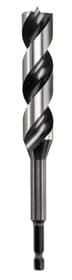 kwb 3-S Japan Schlangenbohrer, 165 mm, ø 12 mm Holzbohrer 3-S Japan Schlangenbohrer, 165 mm, ø 12 mm Holzbohrer kwb 616331900000 Bild Nr. 1
