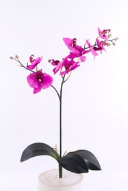 Orchidée Fleur artificielle Orchidée Fleur artificielle 657353100000 Photo no. 1