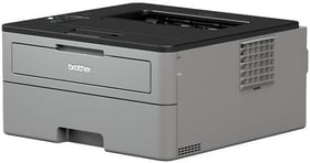 Brother HL-L2350DW Drucker HL-L2350DW Drucker Brother 785300142321 Bild Nr. 1