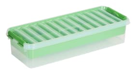 Multibox 6.5L, avec insert Boîte de rangement avec insert 603759800000 Couleur Vert, Transparent Taille L: 485.0 mm x L: 190.0 mm x H: 105.0 mm Photo no. 1