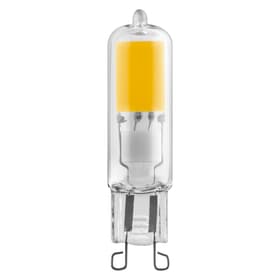 Osram BASE PIN 30 2.6W LED Lampe BASE PIN 30 2.6W LED Lampe Osram 421095300000 Bild Nr. 1