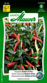 Samen Mauser Zierpaprika Basket of Fire Gemüsesamen Zierpaprika Basket of Fire Gemüsesamen Samen Mauser 650157200000 Bild Nr. 1