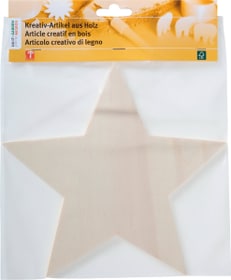 Legna Creativa Etoile 25cm Etoile 25cm Legna Creativa 664079300000 Photo no. 1