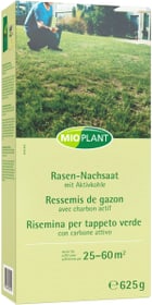 Mioplant Rasen-Nachsaat, 25 - 60 m2 Rasensamen Rasen-Nachsaat, 25 - 60 m2 Rasensamen Mioplant 659289600000 Bild Nr. 1