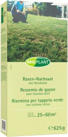 Rasen-Nachsaat, 25 - 60 m² Rasensamen Mioplant 659289600000 Bild Nr. 1