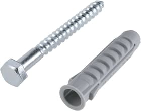 fischer Nylondübel SX 12 x 60 inkl. Schrauben Nylondübel SX 12 x 60 inkl. Schrauben fischer 605431700000 Bild Nr. 1