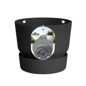 Elho Greenville Basket Vaso appeso Greenville Basket Vaso appeso Elho 657244800002 Colore Antracite Taglio ø: 24.0 cm x A: 20.0 cm N. figura 1