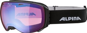 Big Horn Skibrille / Snowboardbrille Alpina 461955900120 Farbe schwarz Grösse one size Bild-Nr. 1