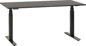 PROFI Bureau PROFI Bureau 401850600000 Dimensions L: 180.0 cm x P: 80.0 cm x H: 67.0 cm Couleur Noir Photo no. 1