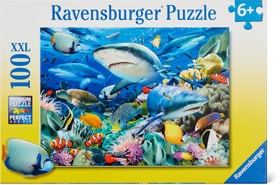Riff der Haie Puzzle Puzzles Ravensburger 748978200000 Photo no. 1