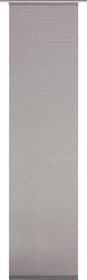 LOLA Panneau japonais LOLA Panneau japonais 430286130483 Couleur Gris foncé Dimensions L: 60.0 cm x H: 245.0 cm Photo no. 1