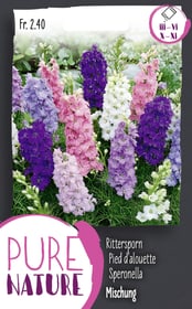 Pied d'alouette annuel, double en mélang Semences de fleurs Do it + Garden 287303000000 Photo no. 1