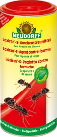 Poudre anti-fourmis Loxiran S, 500 g Lutte contre les fourmis Neudorff 658503900000 Photo no. 1
