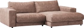 HARRISON Ecksofa 405797600000 Grösse B: 250.0 cm x T: 170.0 cm x H: 85.0 cm Farbe Taupe Bild Nr. 1