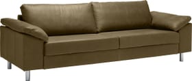 DIENER Divano a 3 posti DIENER Divano a 3 posti 405738400000 Colore Verde oliva Dimensioni L: 241.0 cm x P: 92.0 cm x A: 82.0 cm N. figura 1