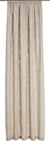 DACIO Rideau prêt à poser opaque 430276121174 Couleur Beige Dimensions L: 145.0 cm x H: 245.0 cm Photo no. 1