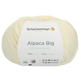 Wolle Alpaca Big 667091800010 Farbe Crème Grösse L: 15.0 cm x B: 15.0 cm x H: 10.0 cm Bild Nr. 1