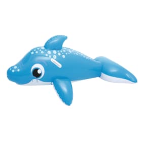 Dolphin Ride-on