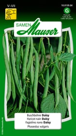 Samen Mauser Buschbohne Daisy Gemüsesamen Buschbohne Daisy Gemüsesamen Samen Mauser 650109301000 Inhalt 80 g (ca. 8 m²) Bild Nr. 1