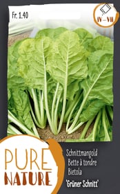 Do it + Garden Bette à tondre 'Vert à la coupe' 10g Semences de legumes Bette à tondre 'Vert à la coupe' 10g Semences de legumes Do it + Garden 287112700000 Photo no. 1