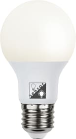 Glühbirne LED mit Sensor LED Lampe Star Trading 613171400000 Bild Nr. 1