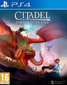 PS4 - Citadel : Forged with Fire I Box PS4 - Citadel : Forged with Fire I Box 785300146884 Photo no. 1