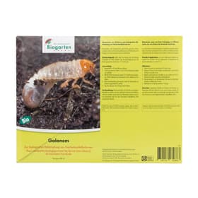 Andermatt Biogarten Galanem Nematode gegen Gartenlaubkäfer, 50m² Nützlinge Galanem Nematode gegen Gartenlaubkäfer, 50m² Nützlinge Andermatt Biogarten 658518500000 Bild Nr. 1