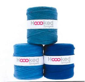 zpagetti bleu 120m