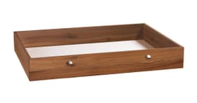 HASENA BOX Bettkasten BOX Bettkasten HASENA 403131585234 Grösse B: 120.0 cm x T: 89.0 cm x H: 18.0 cm Farbe Walnuss Bild Nr. 1