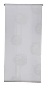 FROST Store enrouleur FROST Store enrouleur 430742908210 Couleur Blanc Dimensions L: 83.0 cm x H: 185.0 cm Photo no. 1
