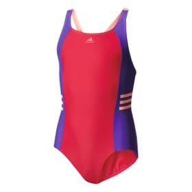 OCC SWIM INF