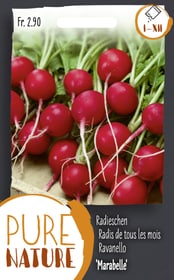 Do it + Garden Radieschen 'Marabelle' früh 5g Gemüsesamen Radieschen 'Marabelle' früh 5g Gemüsesamen Do it + Garden 287115000000 Bild Nr. 1