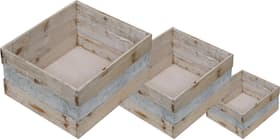Blumenkiste Set, 3 Stk. Blumenkiste Blumenkiste Set, 3 Stk. Blumenkiste 657937000000 Bild Nr. 1