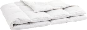 OPTIMADAUN medium warm Couette pour toute l’année avec 60% de duvet OPTIMADAUN medium warm Couette pour toute l’année avec 60% de duvet 451745112310 Couleur Blanc Dimensions L: 160.0 cm x P: 210.0 cm Photo no. 1