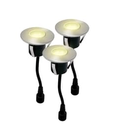 Easy Connect Spot Holz Ø 6 cm Bodeneinbaulampe Spot Holz Ø 6 cm Bodeneinbaulampe Easy Connect 613166600000 Bild Nr. 1