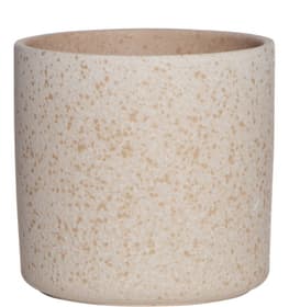 Zylinder Keramik Vase Hakbjl Glass 656213200000 Farbe Ecru Grösse ø: 10.0 cm x H: 10.0 cm Bild Nr. 1
