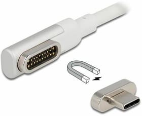 DeLock Cavo Thunderbolt 3 Magnetico USB C - USB C 1,2 m 4K 60Hz Cavo USB Cavo Thunderbolt 3 Magnetico USB C - USB C 1,2 m 4K 60Hz Cavo USB DeLock 785302404722 N. figura 1