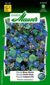 Samen Mauser Phacelia Blaue Glocke Blumensamen Phacelia Blaue Glocke Blumensamen Samen Mauser 650106301000 Inhalt 0.5 g (ca. 300 Pflanzen oder 3 - 5 m²) Bild Nr. 1