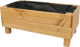 Do it + Garden Caisse pour plante avec géotextile Caisse pour plante Caisse pour plante avec géotextile Caisse pour plante Do it + Garden 658705000000 Couleur Pin naturel Taille L: 45.0 cm x L: 85.0 cm x H: 35.0 cm Photo no. 1