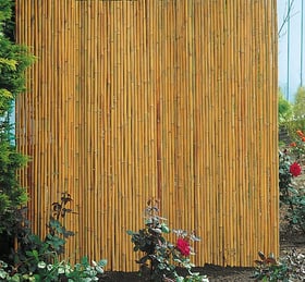 Bambus Sichtschutzmatte Sichtschutzmatte 647024100000 Farbe Naturbelassen Grösse B: 180.0 cm x H: 180.0 cm Bild Nr. 1