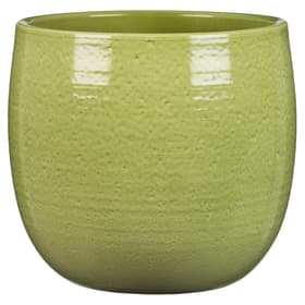 Scheurich Keramik Übertopf Übertopf Keramik Übertopf Übertopf Scheurich 658717600021 Farbe Grün Grösse ø: 21.0 cm x L: 21.0 cm x B: 21.0 cm x T: 20.0 cm Bild Nr. 1