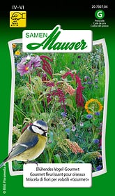 Samen Mauser Gourmet fleurissant pour oiseaux Semences de fleurs Gourmet fleurissant pour oiseaux Semences de fleurs Samen Mauser 650118402000 Contenu 5 g (env. 3-4 m² ) Photo no. 1