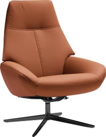 ARNOLD Fauteuil ARNOLD Fauteuil 402452507055 Dimensions L: 78.0 cm x P: 89.0 cm x H: 97.0 cm Couleur Cognac Photo no. 1