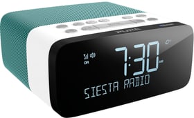 Siesta Rise S - Mint