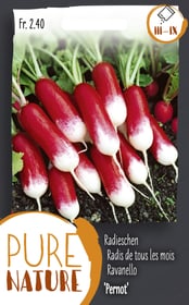 Do it + Garden Radieschen 'Pernot' 5g Gemüsesamen Radieschen 'Pernot' 5g Gemüsesamen Do it + Garden 287114900000 Bild Nr. 1