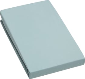 EVAN Lenzuolo teso jersey stretch EVAN Lenzuolo teso jersey stretch 451053930542 Dimensioni L: 180.0 cm x A: 200.0 cm Colore Aqua N. figura 1